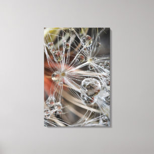 Dandelion Abstract Canvas Print