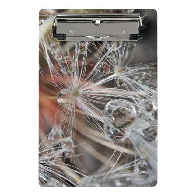 Dandelion Abstract Mini Clipboard (Front)