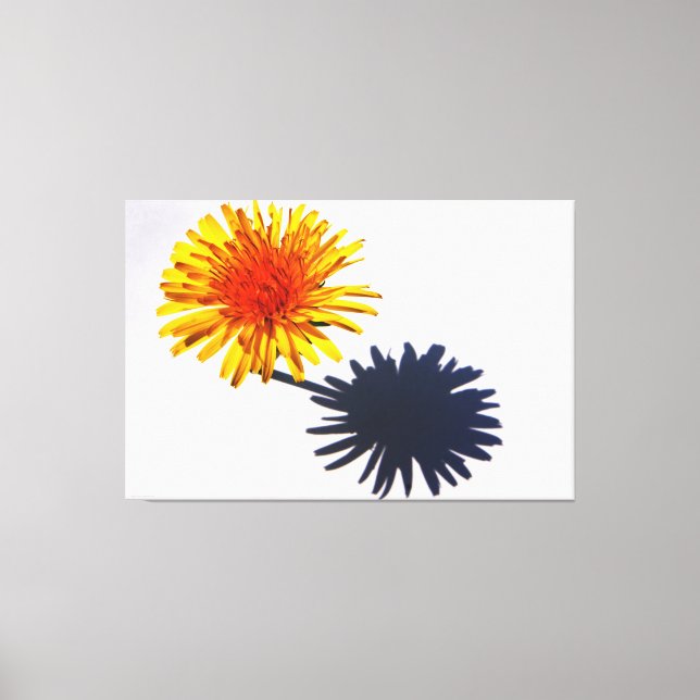 Dandelion and Shadow 60x40 (150x100cm) waccna Canvas Print (Front)