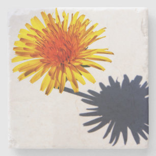 Dandelion and Shadow coastercna Stone Coaster