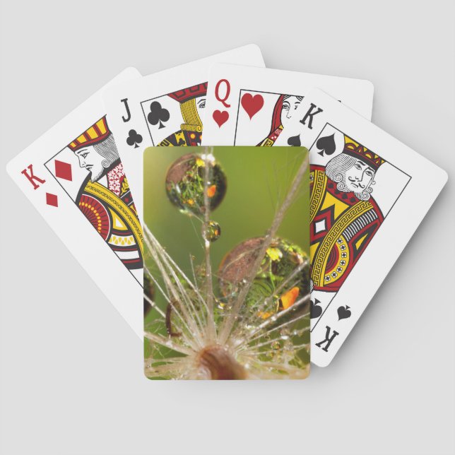 Dandelion And Water Droplets Playing Cards (Back)