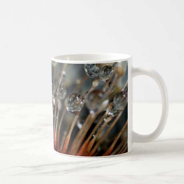 Dandelion and water drops, CA Coffee Mug (Right)