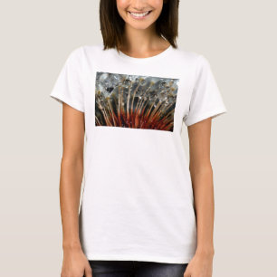 Dandelion and water drops, CA T-Shirt