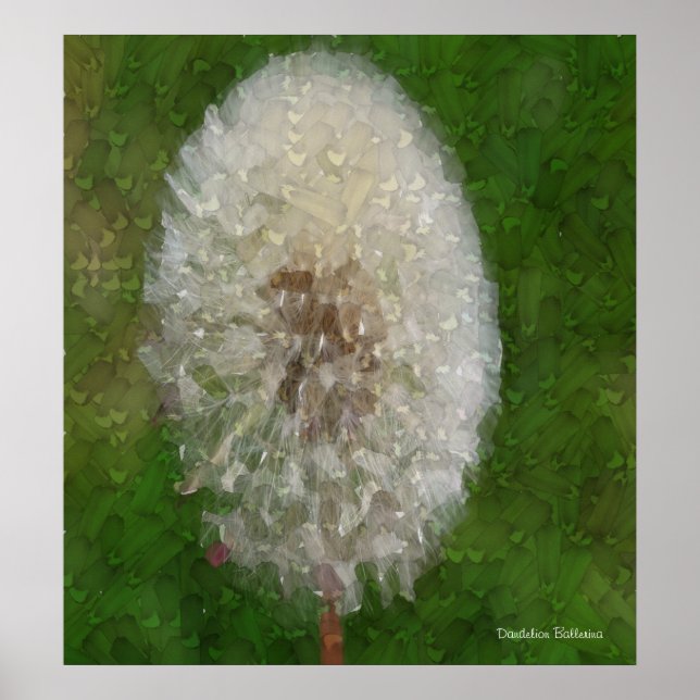 Dandelion Ballerina by Celeste Sheffey Poster (Front)