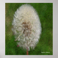 Dandelion Ballerina par Celeste Sheffey Poster