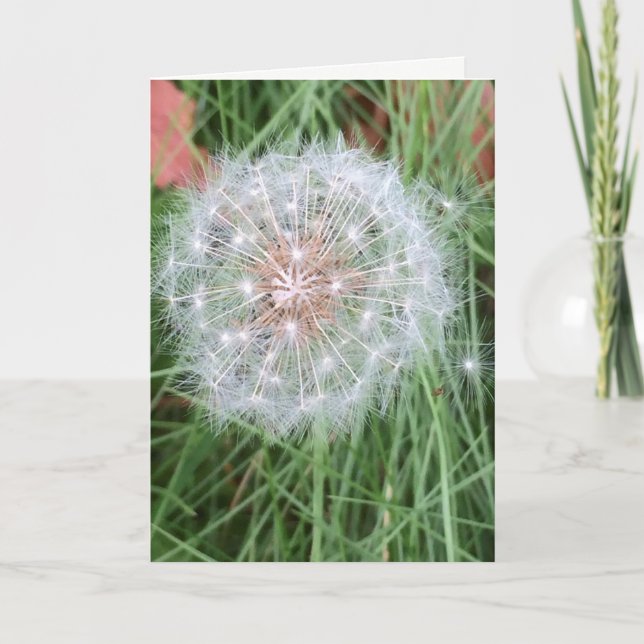 Dandelion Birthday card (Front)