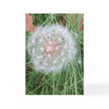 Dandelion Birthday card