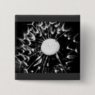 dandelion blacq 2 inch square button