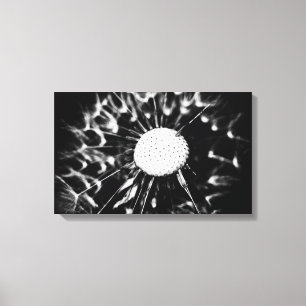 dandelion blacq canvas print