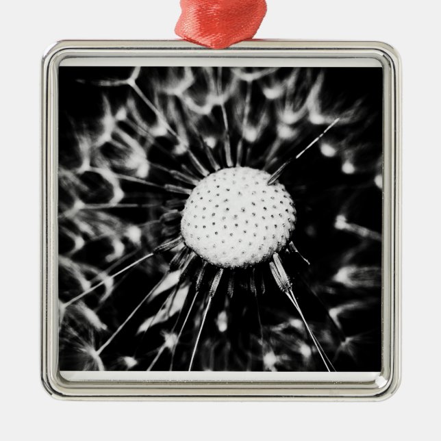 dandelion blacq metal ornament (Front)