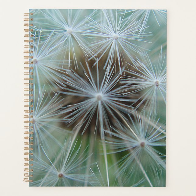 Dandelion blanc (Devant)