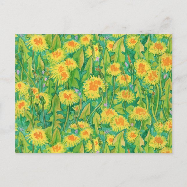 Dandelion Bloom Summer Flowers Floral Green Yellow Postcard (Front)