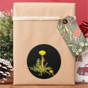 Dandelion blooming botanical classic round sticker