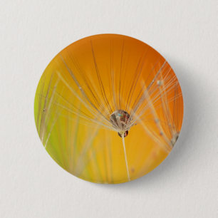 Dandelion Blossoms Flowers Destiny Peace Love Art 2 Inch Round Button