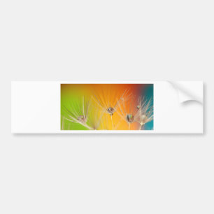 Dandelion Blossoms Flowers Destiny Peace Love Art Bumper Sticker
