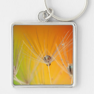 Dandelion Blossoms Flowers Destiny Peace Love Art Keychain