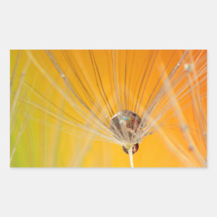 Dandelion Blossoms Flowers Destiny Peace Love Art Sticker