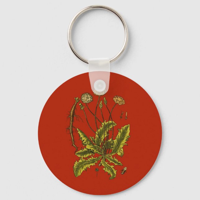 Dandelion Botanical Illustration Keychain (Front)