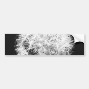Dandelion Bumper Sticker