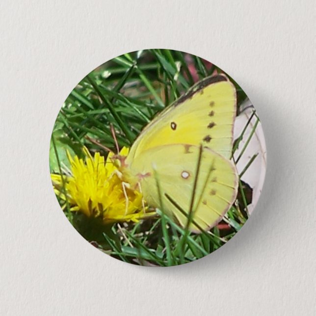 Dandelion Butterfly 2 Inch Round Button (Front)
