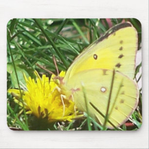 Dandelion Butterfly Mouse Pad