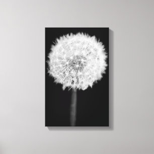 Dandelion Canvas print