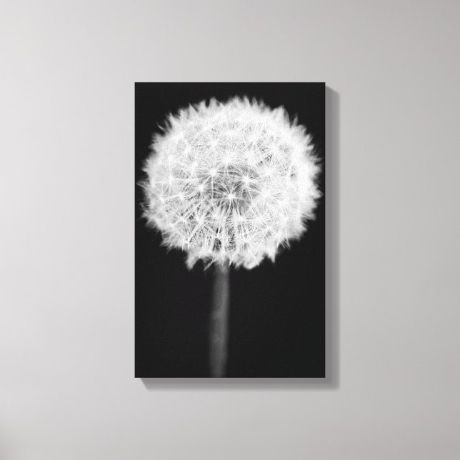 Dandelion Canvas print (Front)