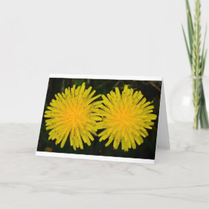 Dandelion, card