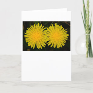 Dandelion, card