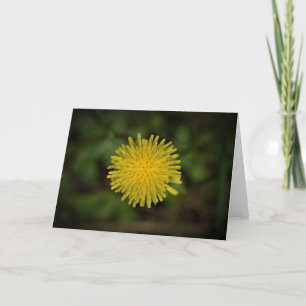 Dandelion, card