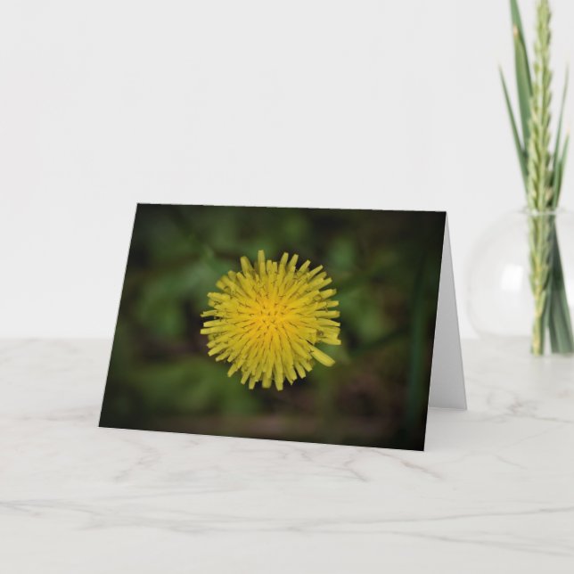 Dandelion, card (Front)