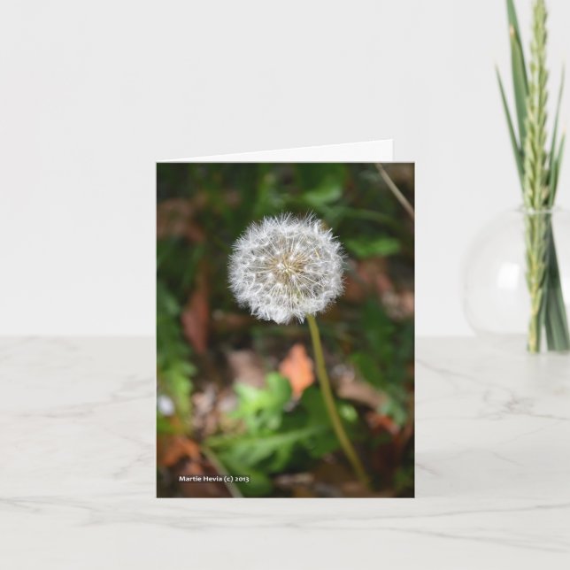 Dandelion Card (Front)