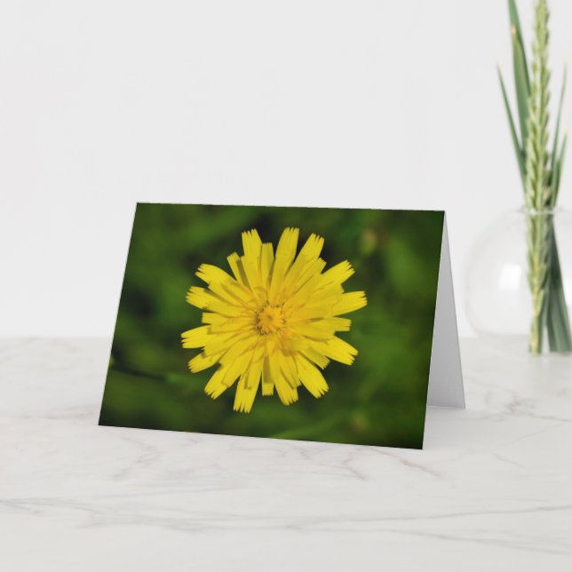 Dandelion, card (Front)