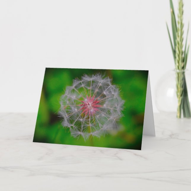 Dandelion, card (Front)