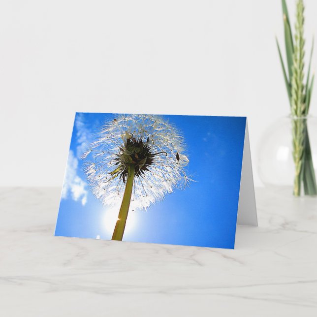 Dandelion Card (Front)