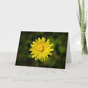 Dandelion, card