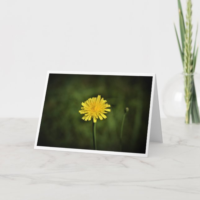 Dandelion, card (Front)