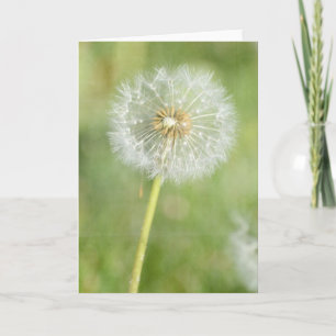 Dandelion Card