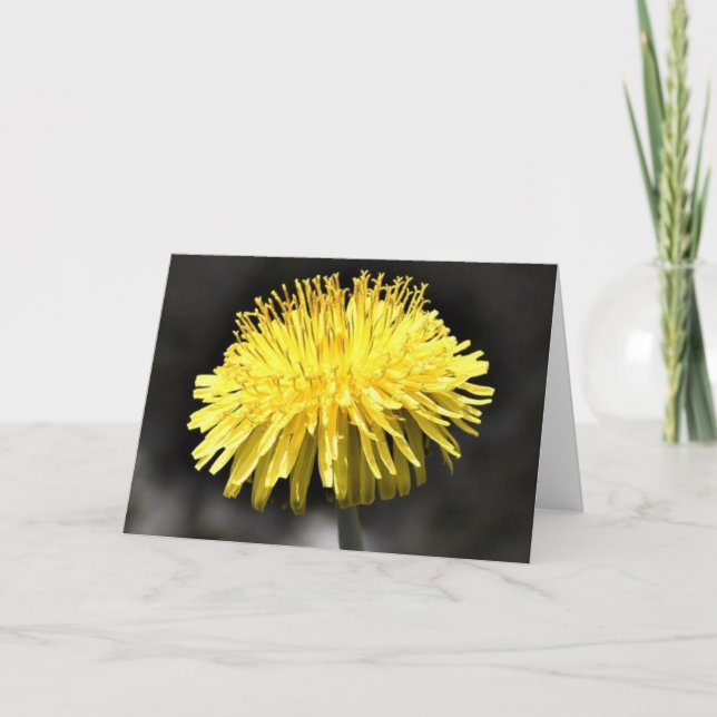 Dandelion, card (Front)