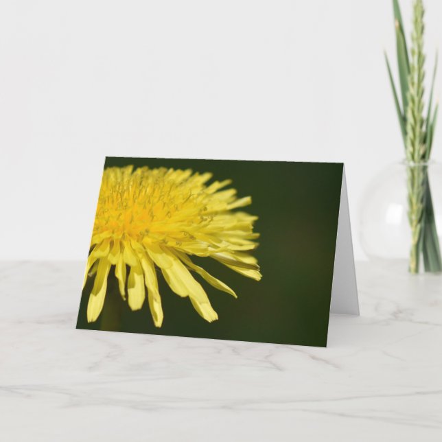 Dandelion, carte (Devant)