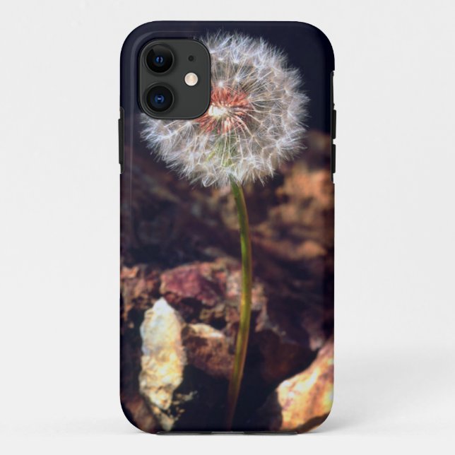 Dandelion Case-Mate iPhone Case (Back)