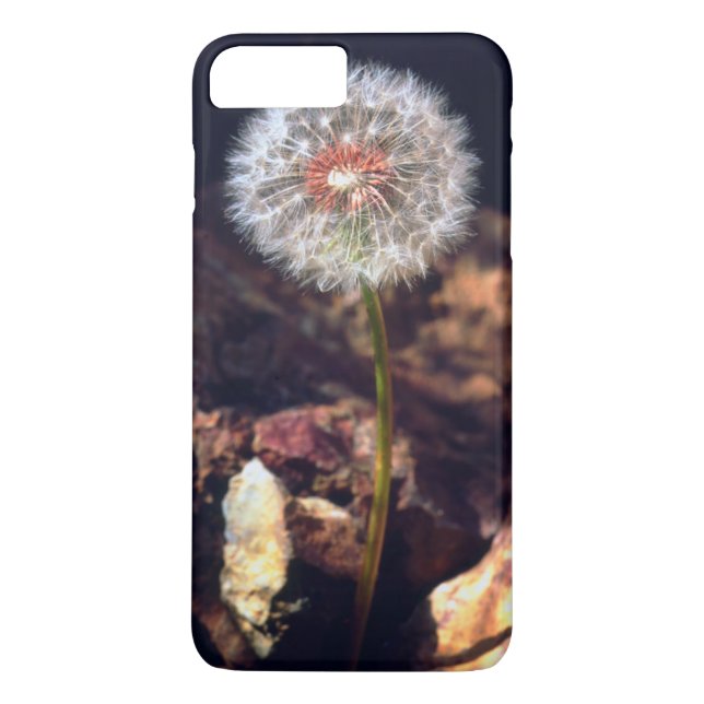 Dandelion Case-Mate iPhone Case (Back)