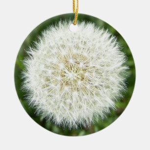 dandelion ceramic ornament