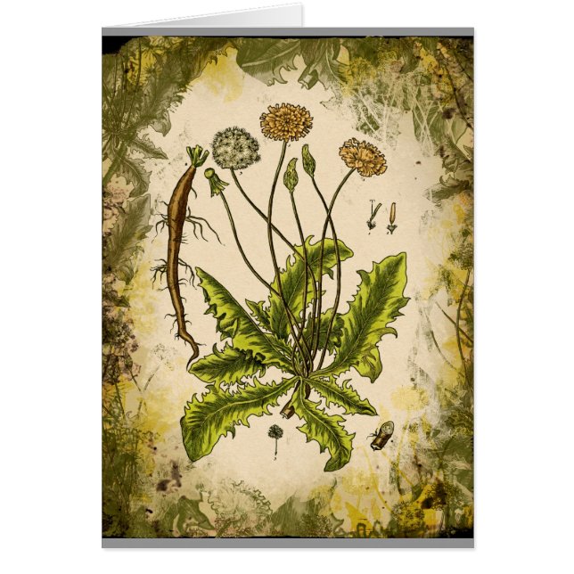 Dandelion Collage (Front)
