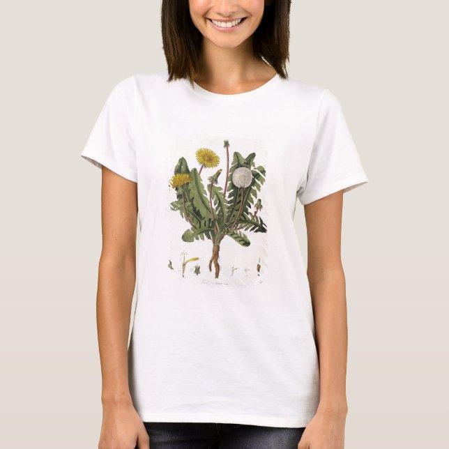 Dandelion (colour engraving) T-Shirt (Front)