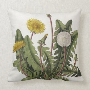 Dandelion (colour engraving) throw pillow