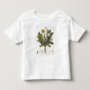 Dandelion (colour engraving) toddler t-shirt