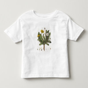 Dandelion (colour engraving) toddler t-shirt