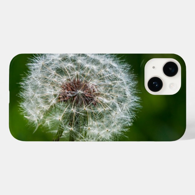 Dandelion Dans Le coque iphone Léger (Verso (horizontal))