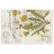 Dandelion Decoupage Tissue Sheet
